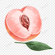 麻豆传媒下载APP应用