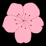 WWW,se276·COM网站APPAPP应用